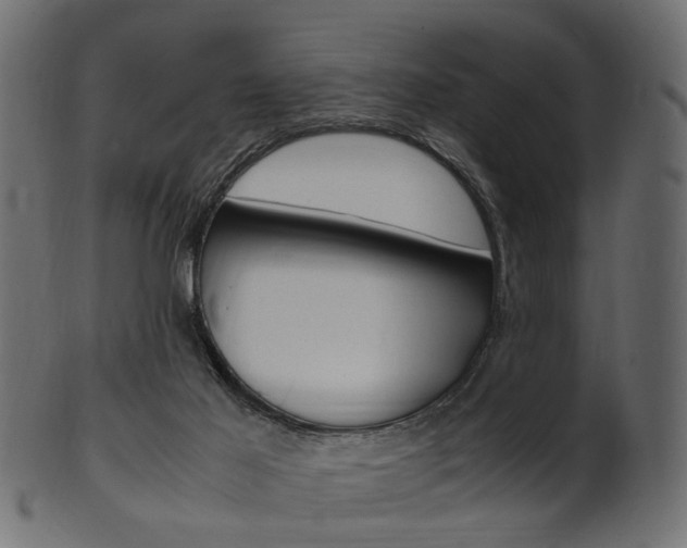 X0000102030021200807181017