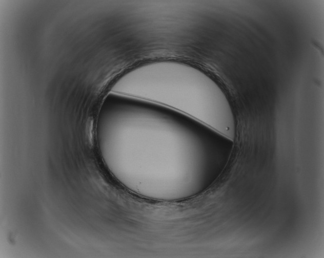 X0000102030024200807181017