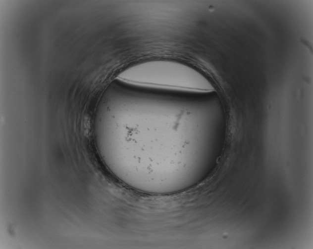 X0000102030025200807181017