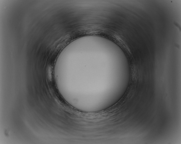 X0000102030026200807181017