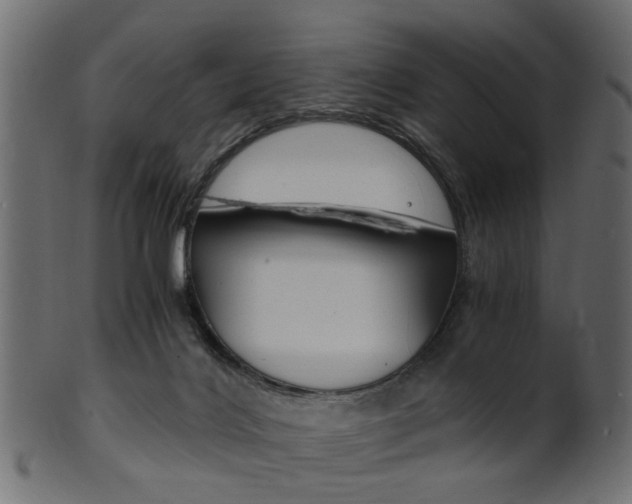 X0000102030028200807181017