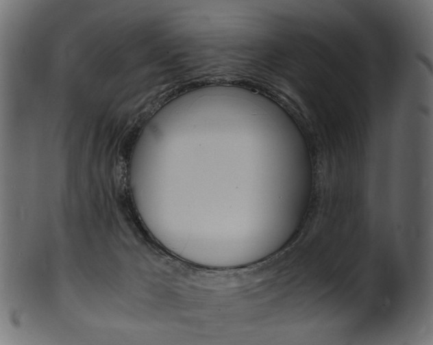 X0000102030029200807181017