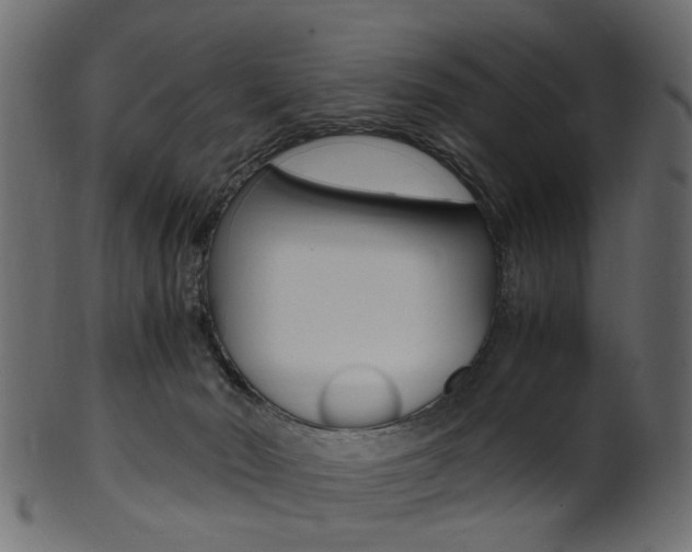 X0000102030030200807181017