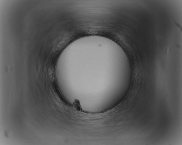 X0000102030031200807181017