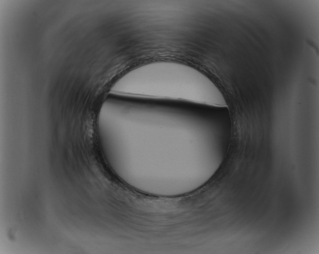 X0000102030032200807181017