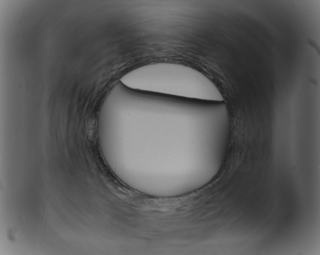 X0000102030033200807181017