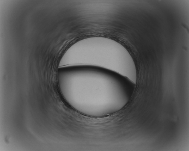 X0000102030035200807181017