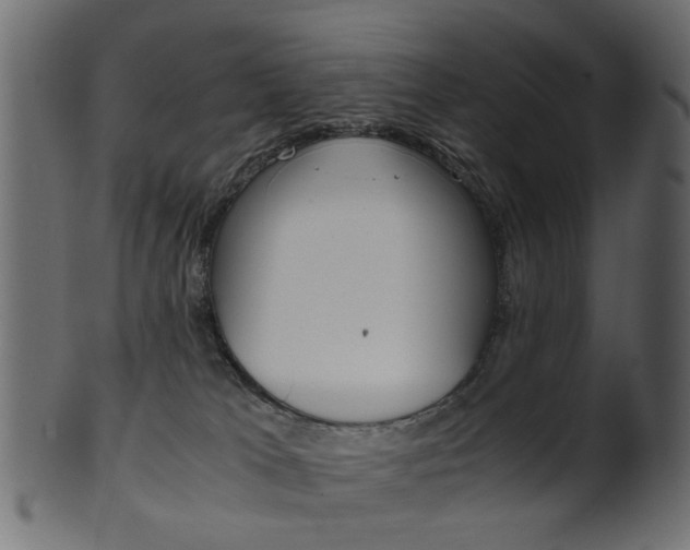 X0000102030037200807181017