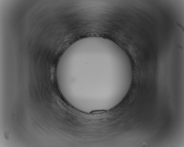 X0000102030038200807181017