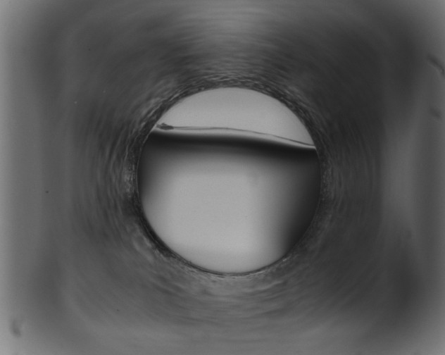 X0000102030039200807181017