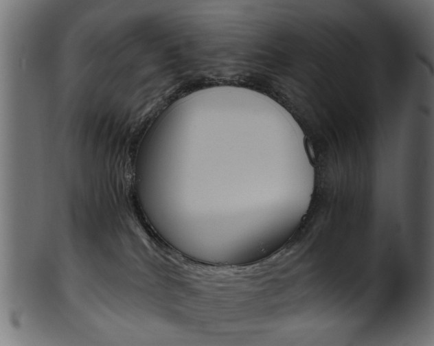 X0000102030040200807181017