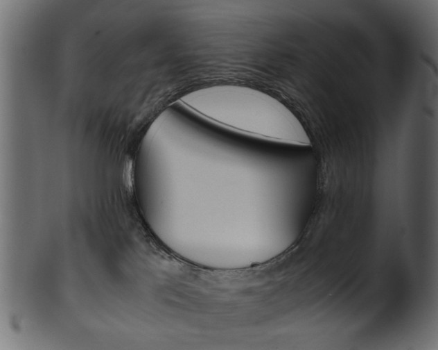 X0000102030041200807181017