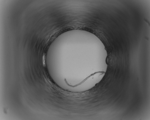 X0000102030042200807181016