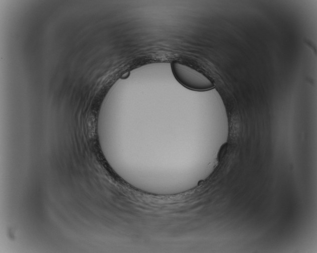 X0000102030043200807181016