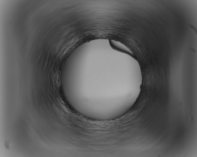 X0000102030044200807181016