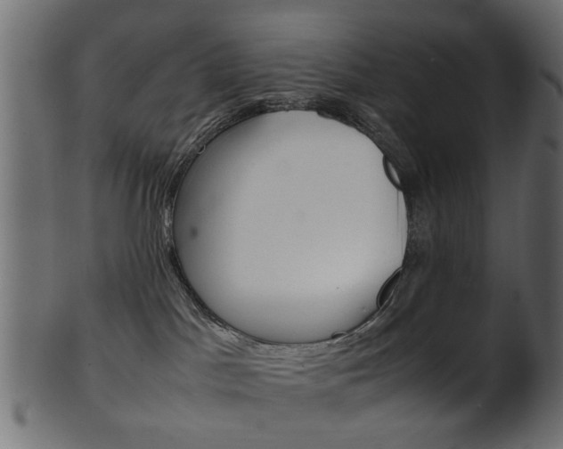 X0000102030045200807181016