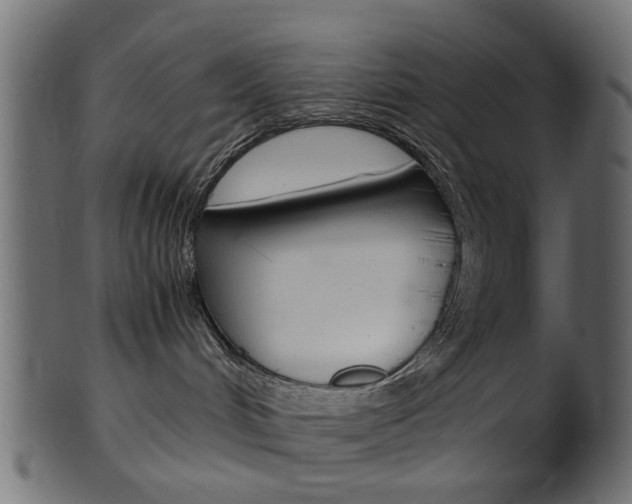 X0000102030048200807181016