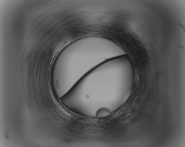 X0000102030049200807181016