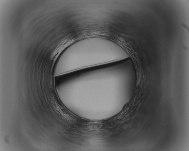 X0000102030050200807181016