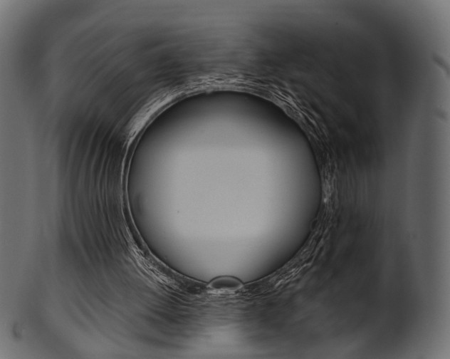 X0000102030052200807181016