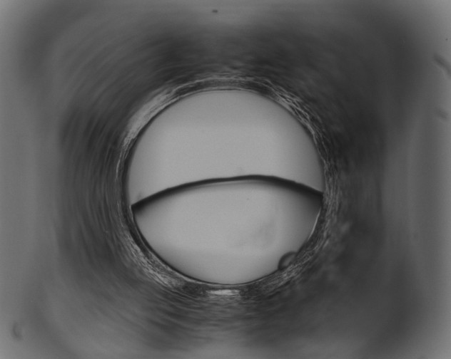 X0000102030053200807181016