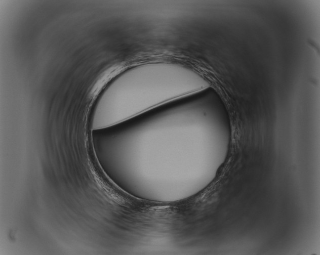 X0000102030054200807181016