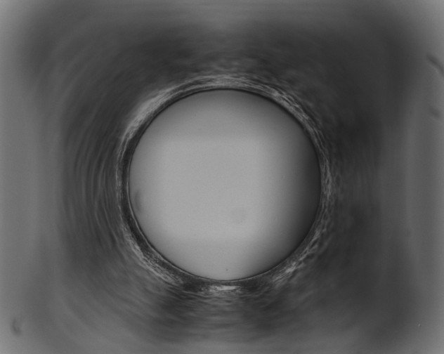 X0000102030055200807181016