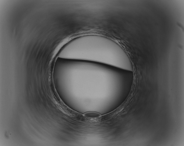 X0000102030056200807181016