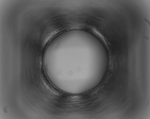 X0000102030059200807181016