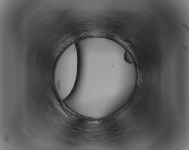 X0000102030061200807181016