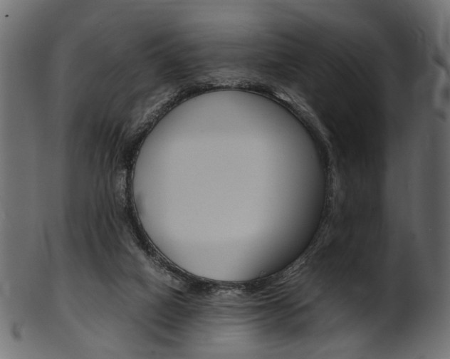 X0000102030066200807181016