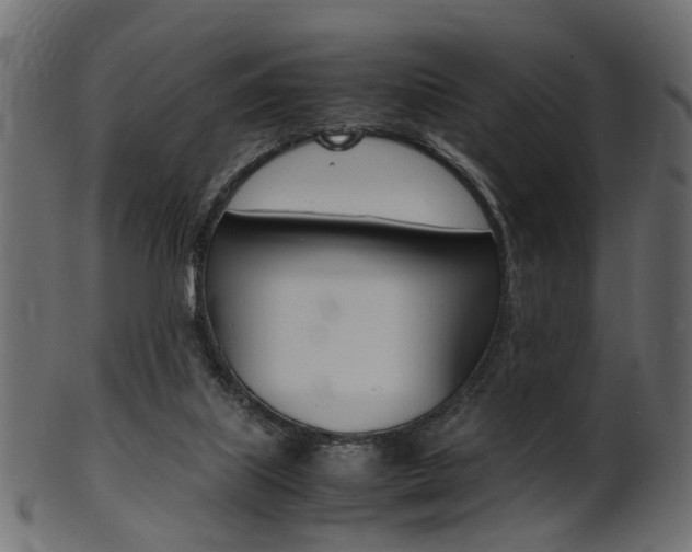 X0000102030067200807181016