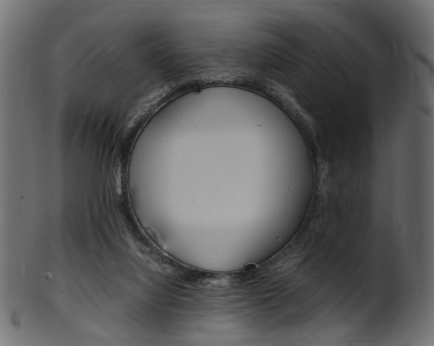 X0000102030068200807181016