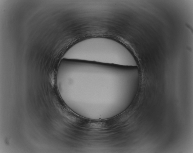 X0000102030069200807181016