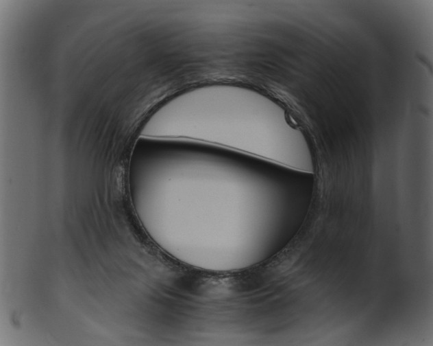 X0000102030071200807181016