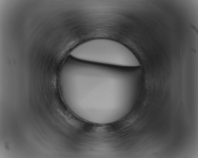 X0000102030072200807181016