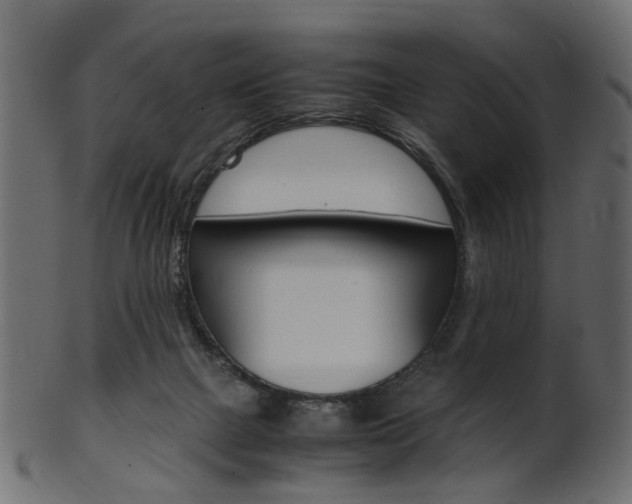 X0000102030073200807181016