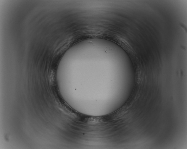 X0000102030077200807181016