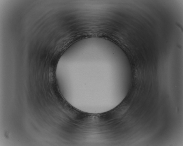 X0000102030080200807181016