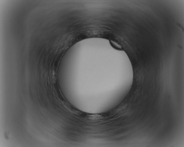 X0000102030087200807181016