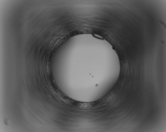 X0000102030088200807181016