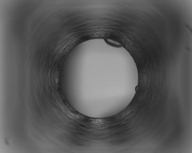 X0000102030091200807181016