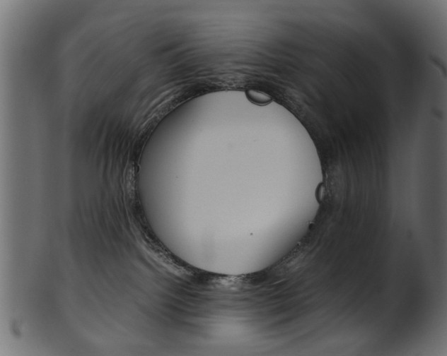 X0000102030092200807181016