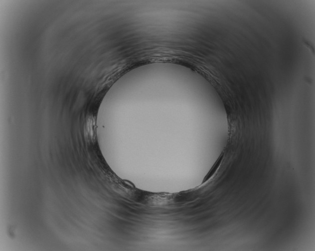 X0000102030094200807181016