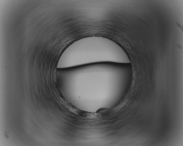 X0000102030096200807181016