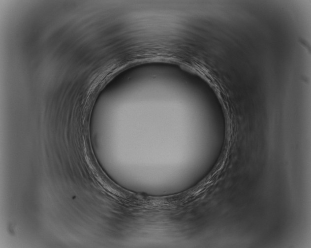 X0000102030097200807181016