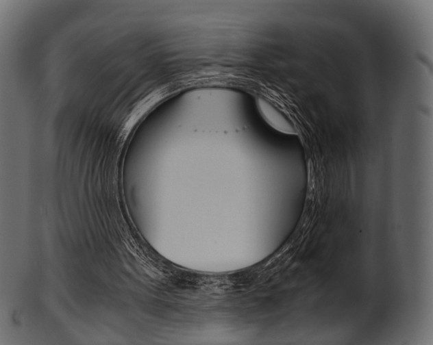 X0000102030099200807181016