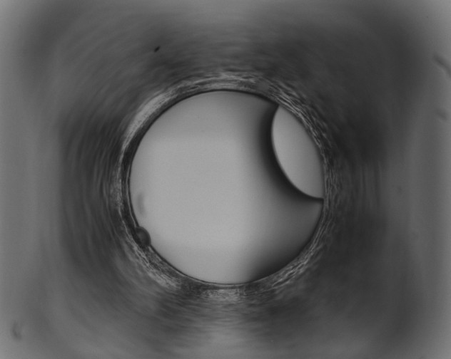 X0000102030102200807181015