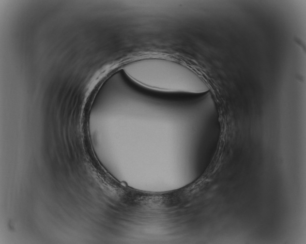 X0000102030104200807181015