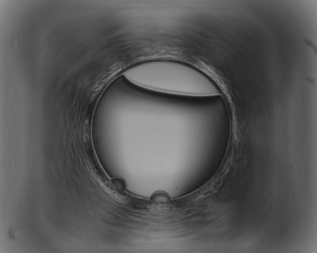 X0000102030105200807181015